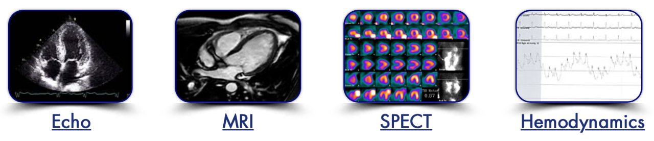 Cardiovascular Core Lab Services | Imaging & Hemodynamics | CCS